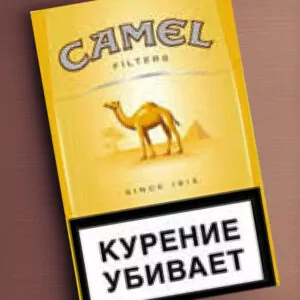 Camel желтый/голубой